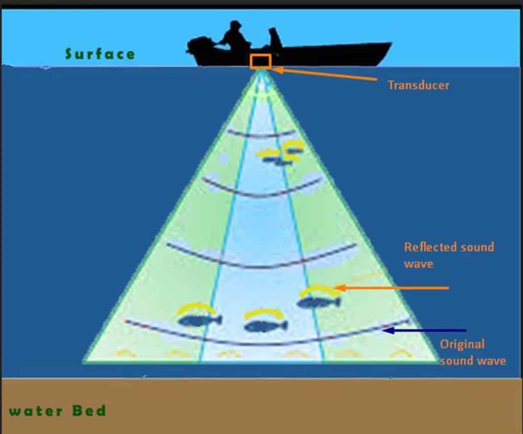 How Does A Fish Finder Work