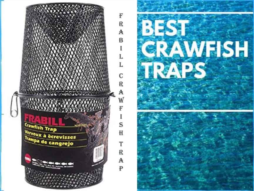 Best Crawfish Traps