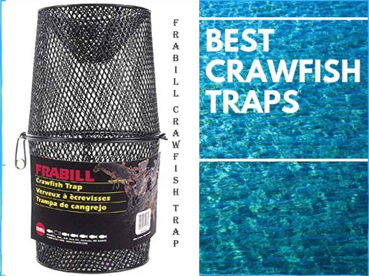 Willapa Marine Crawfish Trap