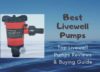 Best Livewell Pumps