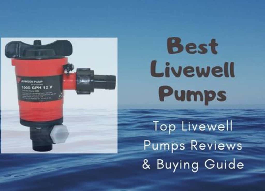 Best Livewell Pumps