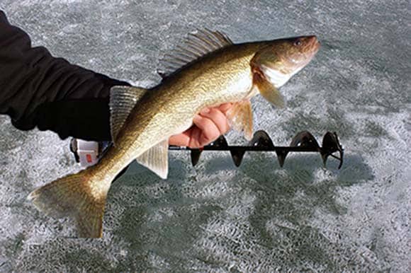Walleye Ice Fishing Tips And Techniques