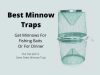 Best Minnow Traps 2021 | Reviews & Buying Guide