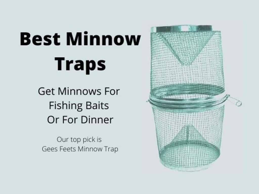 Best Minnow Traps